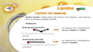Biomoléculas - Biologia 10º Ano