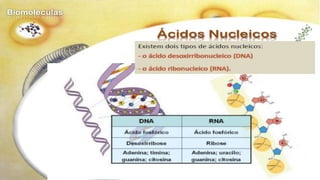 Biomoléculas - Biologia 10º Ano
