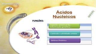 Biomoléculas - Biologia 10º Ano