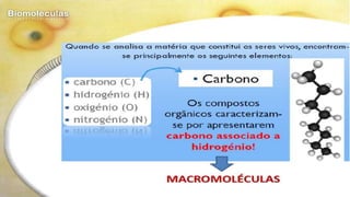 Biomoléculas - Biologia 10º Ano