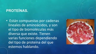 PROTEÍNAS.
• Están compuestas por cadenas
lineales de aminoácidos, y son
el tipo de biomoléculas más
diversa que existe. Tienen
varias funciones dependiendo
del tipo de proteína del que
estemos hablando.
 