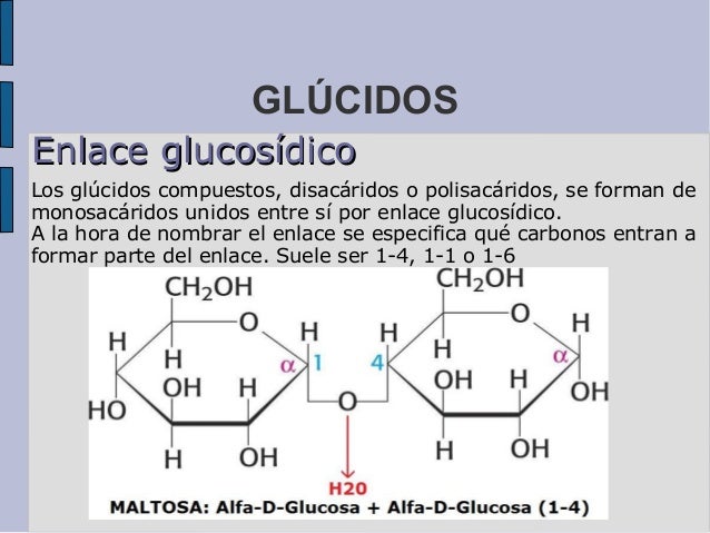 Biomoléculas