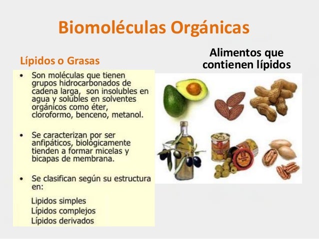 Biomoléculas