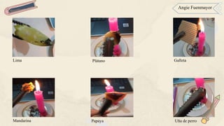 Angie Fuenmayor
Lima
Papaya Uña de perro
Mandarina
Galleta
Plátano
 