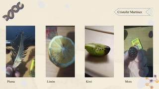 Nucleus
Cristofer Martínez
Pluma Limón Mora
Kiwi
 