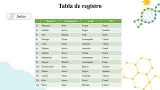 Tabla de registro
Antes
Muestras Consistencia Color Olor
1) Manzana Dura Crema Dulce
2) Cabello Suave Negro Inodoro
3) Pan Blando Café Dulce
4) Naranja Firme Anaranjado Cítrico
5) Lima Firme Amarillo Cítrico
6) Plátano Suave Amarillo Frutal
7) Galleta Suave Crema Dulce
8) Mandarina Suave Anaranjado Cítrico
9) Papaya Blando Anaranjado Dulce
10) Uña de perro Dura Blanco Inodoro
11) Pluma Suave Negra Inodoro
12) Limón Firme Amarillo Cítrico
13) Kiwi Suave Verde Frutal
14) Mora Dura Morada Cítrico
 