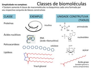Classes de biomoléculas
Simplicidade no complexo:
Existem somente 4 classe de macromoléculas na bioquímica cada uma formada por
seu respectivo conjunto de blocos construtivos
Proteínas
Polissacarídeos
Ácidos nucléicos
Lipídeos
UNIDADE CONSTRUTUVA
(TIJOLO)
O
O-
N
O
H
H OH
H
H
O
O
O
O
O
O
EXEMPLO
insulina
RNA
(ácido ribonucléico)
celulose
Triacil glicerol
CLASSE
aminoácido
nucleotídeo
açúcar
Ácido graxo
(também glicerol e
outros componentes)
 