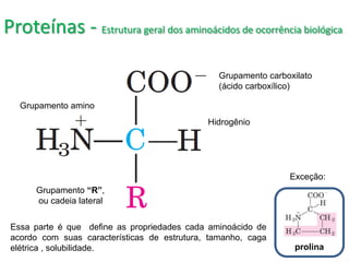 Proteínas - Estrutura geral dos aminoácidos de ocorrência biológica
Grupamento amino
Grupamento carboxilato
(ácido carboxílico)
Hidrogênio
Grupamento “R”,
ou cadeia lateral
Essa parte é que define as propriedades cada aminoácido de
acordo com suas características de estrutura, tamanho, caga
elétrica , solubilidade. prolina
Exceção:
 