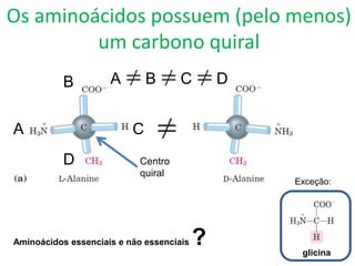 Os aminoácidos possuem (pelo menos)
um carbono quiral
glicina
Exceção:
Centro
quiral
A
B
C
D
A B C D
Aminoácidos essenciais e não essenciais ?
 