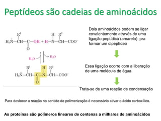 Peptídeos são cadeias de aminoácidos
Dois aminoácidos podem se ligar
covalentemente através de uma
ligação peptídica (amarelo) pra
formar um dipeptídeo
Essa ligação ocorre com a liberação
de uma molécula de água.
Trata-se de uma reação de condensação
Para deslocar a reação no sentido de polimerização é necessário ativar o ácido carboxílico.
As proteínas são polímeros lineares de centenas a milhares de aminoácidos
 