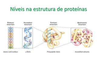 Níveis na estrutura de proteínas
 