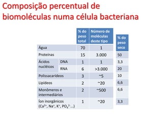 Composição percentual de
biomoléculas numa célula bacteriana
% do
peso
total
Número de
moléculas
deste tipo
Água 70 1
Proteínas 15 3.000
Ácidos
nucléicos
DNA 1 1
RNA 6 >3.000
Polissacarídeos 3 ~5
Lipídeos 2 ~20
Monômeros e
intermediários
2 ~500
Íon inorgânicos
(Ca2+, Na+, K+, PO4
2-...)
1 ~20
% do
peso
seco
50
3,3
20
10
6,6
6,6
3,3
 