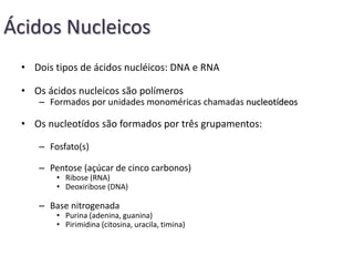 • Dois tipos de ácidos nucléicos: DNA e RNA
• Os ácidos nucleicos são polímeros
– Formados por unidades monoméricas chamadas nucleotídeos
• Os nucleotídos são formados por três grupamentos:
– Fosfato(s)
– Pentose (açúcar de cinco carbonos)
• Ribose (RNA)
• Deoxiribose (DNA)
– Base nitrogenada
• Purina (adenina, guanina)
• Pirimidina (citosina, uracila, timina)
Ácidos Nucleicos
 