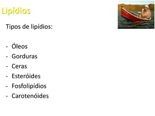 Lipídios
Tipos de lipídios:
- Óleos
- Gorduras
- Ceras
- Esteróides
- Fosfolipídios
- Carotenóides
 