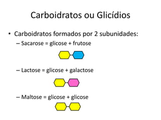 Carboidratos ou Glicídios
• Carboidratos formados por 2 subunidades:
– Sacarose = glicose + frutose
– Lactose = glicose + galactose
– Maltose = glicose + glicose
 