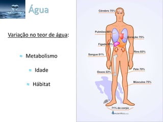 Variação no teor de água:
≈ Metabolismo
≈ Idade
≈ Hábitat
Água
 