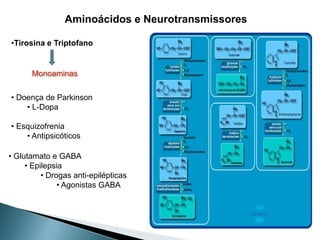 Aminoácidos e Neurotransmissores

•Tirosina e Triptofano


      Monoaminas


• Doença de Parkinson
    • L-Dopa

• Esquizofrenia
    • Antipsicóticos

• Glutamato e GABA
     • Epilepsia
          • Drogas anti-epilépticas
               • Agonistas GABA
 