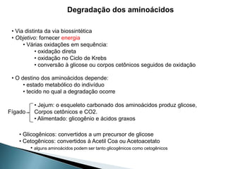 Degradação dos aminoácidos

 • Via distinta da via biossintética
 • Objetivo: fornecer energia
      • Várias oxidações em sequência:
            • oxidação direta
            • oxidação no Ciclo de Krebs
            • conversão à glicose ou corpos cetônicos seguidos de oxidação

 • O destino dos aminoácidos depende:
      • estado metabólico do indivíduo
      • tecido no qual a degradação ocorre

          • Jejum: o esqueleto carbonado dos aminoácidos produz glicose,
Fígado    Corpos cetônicos e CO2.
          • Alimentado: glicogênio e ácidos graxos

   • Glicogênicos: convertidos a um precursor de glicose
   • Cetogênicos: convertidos à Acetil Coa ou Acetoacetato
        • alguns aminoácidos podem ser tanto glicogênicos como cetogênicos
 