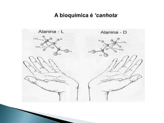 A bioquímica é ‘canhota’
 