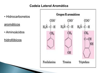 Cadeia Lateral Aromática


• Hidrocarbonetos

aromáticos

• Aminoácidos

hidrofóbicos
 