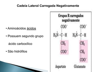 Cadeia Lateral Carregada Negativamente




• Aminoácidos ácidos

• Possuem segundo grupo

 ácido carboxílico

• São hidrófilos
 