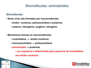 Biomoléculas: aminoácidos

Biomoléculas
• Seres vivos são formados por macromoléculas
   • ácidos nucleicos, polissacarídeos e proteínas
   • carbono, hidrogênio, oxigênio, nitrogênio


• Monômeros formam as macromoléculas
   • nucleotídeos  ácidos nucleicos
   • monossacarídeos  polissacarídeos
   • aminoácidos  proteínas
       • sua sequência é determinada pela sequência de nucleotídeos
       nos ácidos nucleicos
 