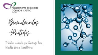 Biomoléculas
-Prótidos
Trabalho realizado por: Santiago Reis,
Matilde Silva e Isabel Mota
 