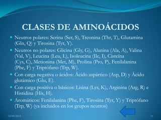 CLASES DE AMINOÁCIDOS
  Neutros polares: Serina (Ser, S), Treonina (Thr, T), Glutamina
     (Gln, Q) y Tirosina (Tyr, Y).
    Neutros no polares: Glicina (Gly, G), Alanina (Ala, A), Valina
     (Val, V), Leucina (Leu, L), Isoleucina (Ile, I), Cisteína
     (Cys, C), Metionina (Met, M), Prolina (Pro, P), Fenilalanina
     (Phe, F) y Triptófano (Trp, W).
    Con carga negativa o ácidos: Ácido aspártico (Asp, D) y Ácido
     glutámico (Glu, E).
    Con carga positiva o básicos: Lisina (Lys, K), Arginina (Arg, R) e
     Histidina (His, H).
    Aromáticos: Fenilalanina (Phe, F), Tirosina (Tyr, Y) y Triptófano
     (Trp, W) (ya incluidos en los grupos neutros)
12/09/2012                                                                11
 