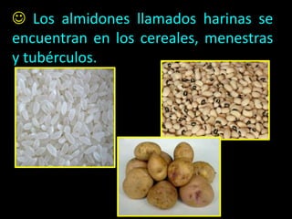  Los almidones llamados harinas se
encuentran en los cereales, menestras
y tubérculos.
 