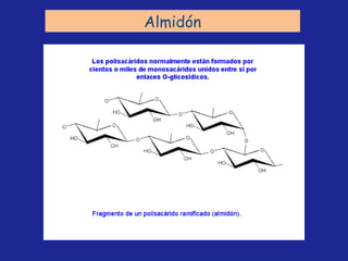 Almidón 