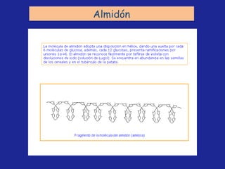 Almidón 