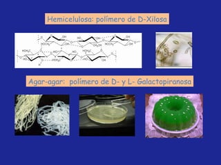 Hemicelulosa: polímero de D-Xilosa Agar-agar:  polímero de D- y L- Galactopiranosa 