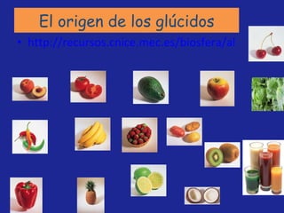 El origen de los glúcidos http://recursos.cnice.mec.es/biosfera/alumno/1ESO/reino_vegetal/fotosintesis.wmv 