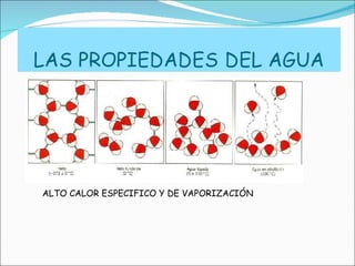 ALTO CALOR ESPECIFICO Y DE VAPORIZACIÓN 