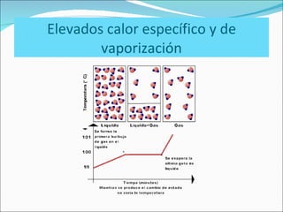 Elevados calor específico y de vaporización 