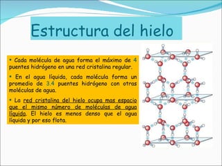 Cada molécula de agua forma el máximo de  4  puentes hidrógeno en una red cristalina regular. En el agua líquida, cada molécula forma un promedio de  3.4  puentes hidrógeno con otras moléculas de agua. La  red cristalina del hielo ocupa mas espacio que el mismo número de moléculas de agua líquida . El hielo es menos denso que el agua líquida y por eso flota. 
