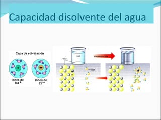 Capacidad disolvente del agua 