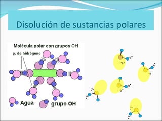 Disolución de sustancias polares 
