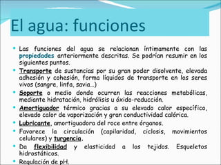 El agua: funciones Las funciones del agua se relacionan íntimamente con las  propiedades   anteriormente descritas. Se podrían resumir en los siguientes puntos. Transporte  de sustancias por su gran poder disolvente, elevada adhesión y cohesión, forma líquidos de transporte en los seres vivos (sangre, linfa, savia…) Soporte  o medio donde ocurren las reacciones metabólicas, mediante hidratación, hidrólisis u óxido-reducción. Amortiguador  térmico gracias a su elevado calor específico, elevado calor de vaporización y gran conductividad calórica. Lubricante , amortiguadora del roce entre órganos. Favorece la circulación (capilaridad, ciclosis, movimientos celulares) y  turgencia .   Da  flexibilidad  y elasticidad a los tejidos. Esqueletos hidrostáticos. Regulación de pH. 