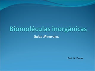 Sales Minerales Prof. N. Flores 