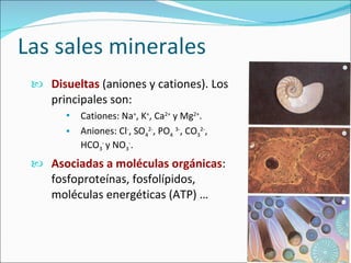 Las sales minerales Disueltas  ( aniones y cationes). Los principales son: Cationes: Na + , K + , Ca 2+  y Mg 2+ . Aniones: Cl - , SO 4 2- , PO 4   3- , CO 3 2- , HCO 3 -  y NO 3 - . Asociadas a moléculas orgánicas : fosfoproteínas, fosfolípidos, moléculas energéticas (ATP) … 