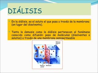 DIÁLISIS En la diálisis, es el soluto el que pasa a través de la membrana (en lugar del disolvente). Tanto la ósmosis como la diálisis pertenecen al fenómeno conocido como difusión: paso de moléculas (disolventes o solutos) a través de una membrana semipermeable 