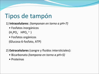Tipos de tampón 1)  Intracelulares :  (tamponan en torno a pH=7) •  Fosfatos inorgánicos  (H 2 PO 4 -   HPO 4   2-  ) •  Fosfatos orgánicos  (Glucosa 6-fosfato, ATP) 2)  Extracelulares  (sangre y fluidos intersticiales): •  Bicarbonato  (tampona en torno a pH=5) •  Proteínas 