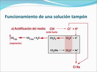 Funcionamiento de una solución tampón 