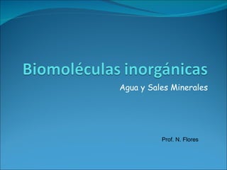 Agua y Sales Minerales Prof. N. Flores 