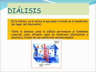 DIÁLISIS <ul><li>En la diálisis, es el soluto el que pasa a través de la membrana (en lugar del disolvente). </li></ul><ul...