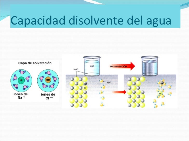 Biomoléculas
