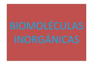 BIOMOLÉCULAS
INORGÁNICAS

 