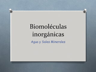 Biomoléculas
inorgánicas
Agua y Sales Minerales
 