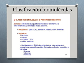 Clasificación biomoléculas
 